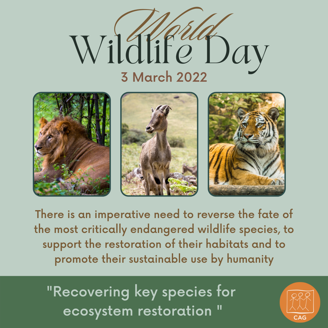 Social Media Poster: World Wild Life Day 2022 | CAG